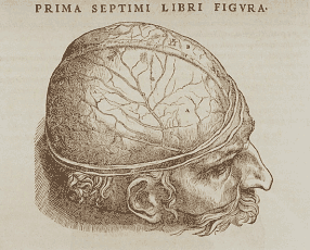 Use Your Head! Use Your Head!